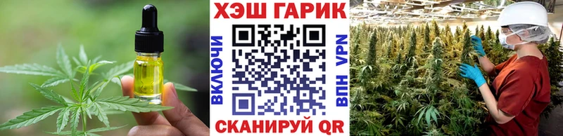 Cannafood конопля  купить закладку  Козельск 