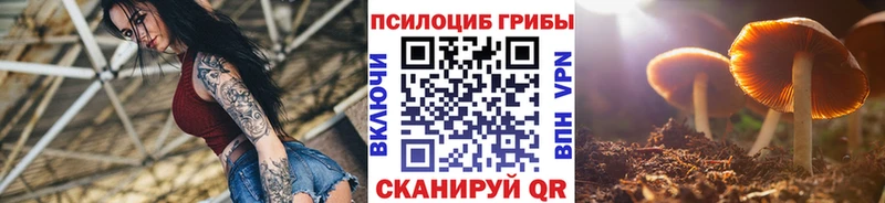 цены   МЕГА   Галлюциногенные грибы Cubensis  Козельск 